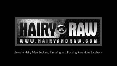 HAIRYANDRAW Hairy Hunk Parker Logan Raw Breeds Gay Alex Hawk - webmaster.drtuber.com