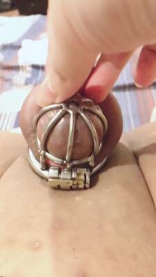 Chastity Cage - cum in chastity cage 3 - ashemaletube.com