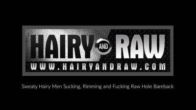 HAIRYANDRAW Hairy Harper Davis Masturbates And Anal Plays - webmaster.drtuber.com