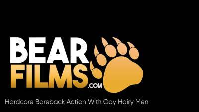BEARFILMS Bearded Bear Lion Reed Raw Breeds Chris Mitchel - webmaster.drtuber.com
