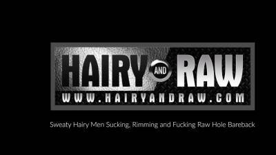 HAIRYANDRAW Bearded Brendan Patrick Raw Breeds Gay Alex Hawk - webmaster.drtuber.com