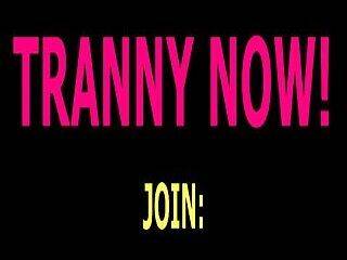 randy tranny johnson show 40 - ashemaletube.com
