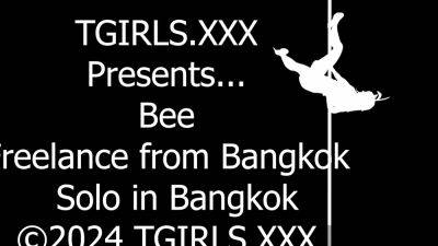 TGIRLS XXX Bee From Bangkok - drtvid.com